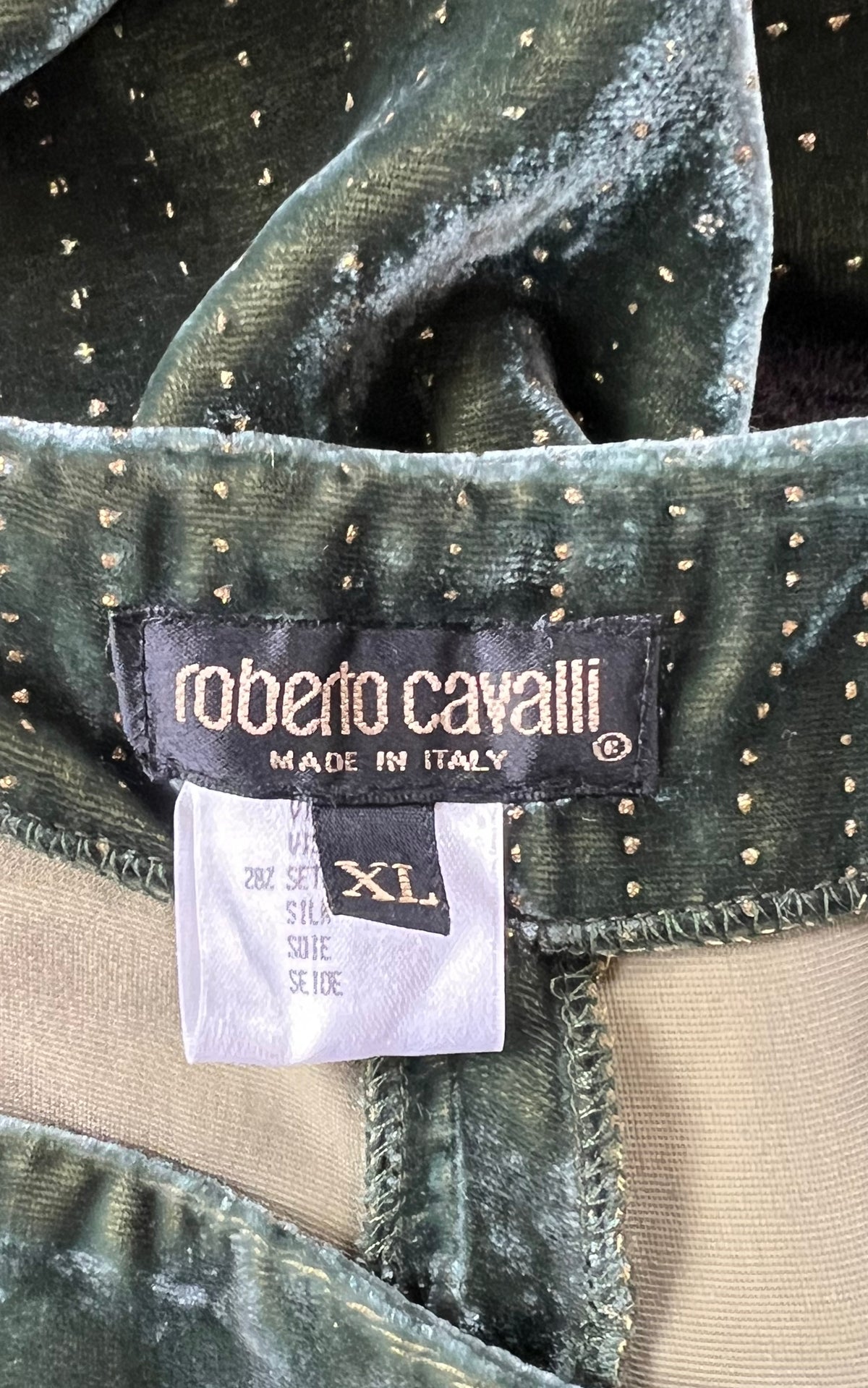 Vintage Roberto Cavalli Silk Velvet Trouser